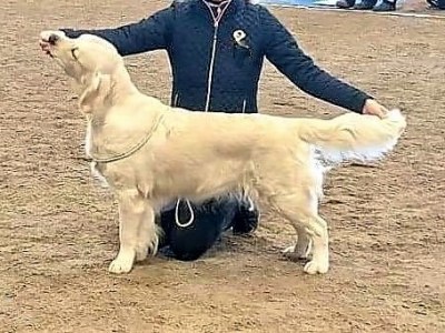 2020-02-02 SSRK Mjölby