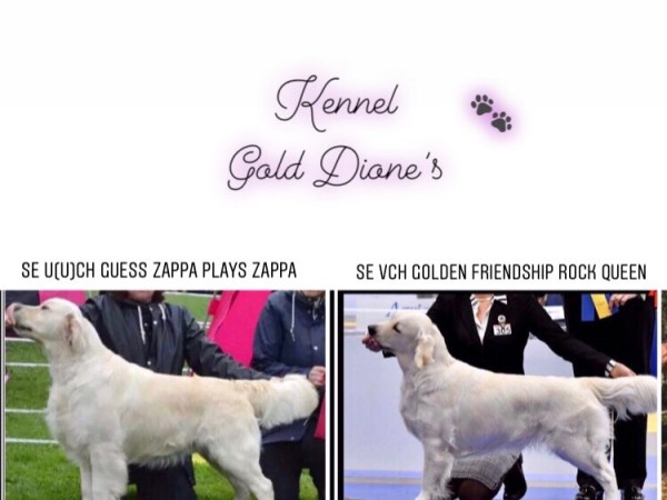 Valparna födda 💕 18/6-20