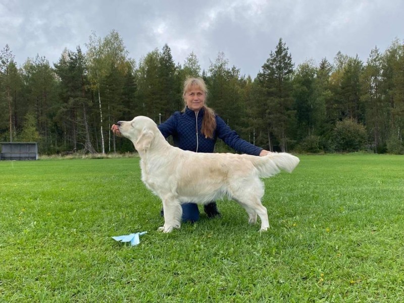 Utställningshelg 11-12/9-21